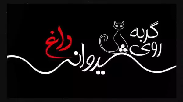 داستان نمایشنامه گربه روی شیروانی داغ