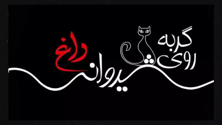 داستان نمایشنامه گربه روی شیروانی داغ