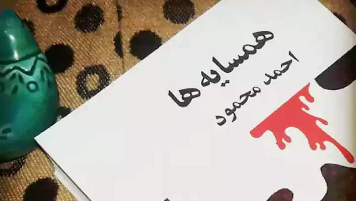 بررسی و خلاصه رمان همسایه ها